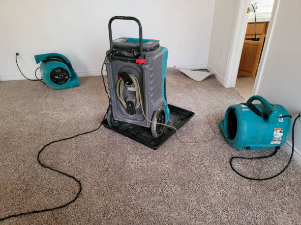 Best 24/7 water damage repair  in Pacific Grove, CA