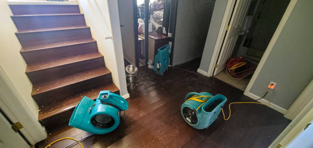 Best Mold removal after water damage  in Pacific Grove, CA