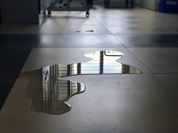 Best Professional water damage repair  in Pacific Grove, CA